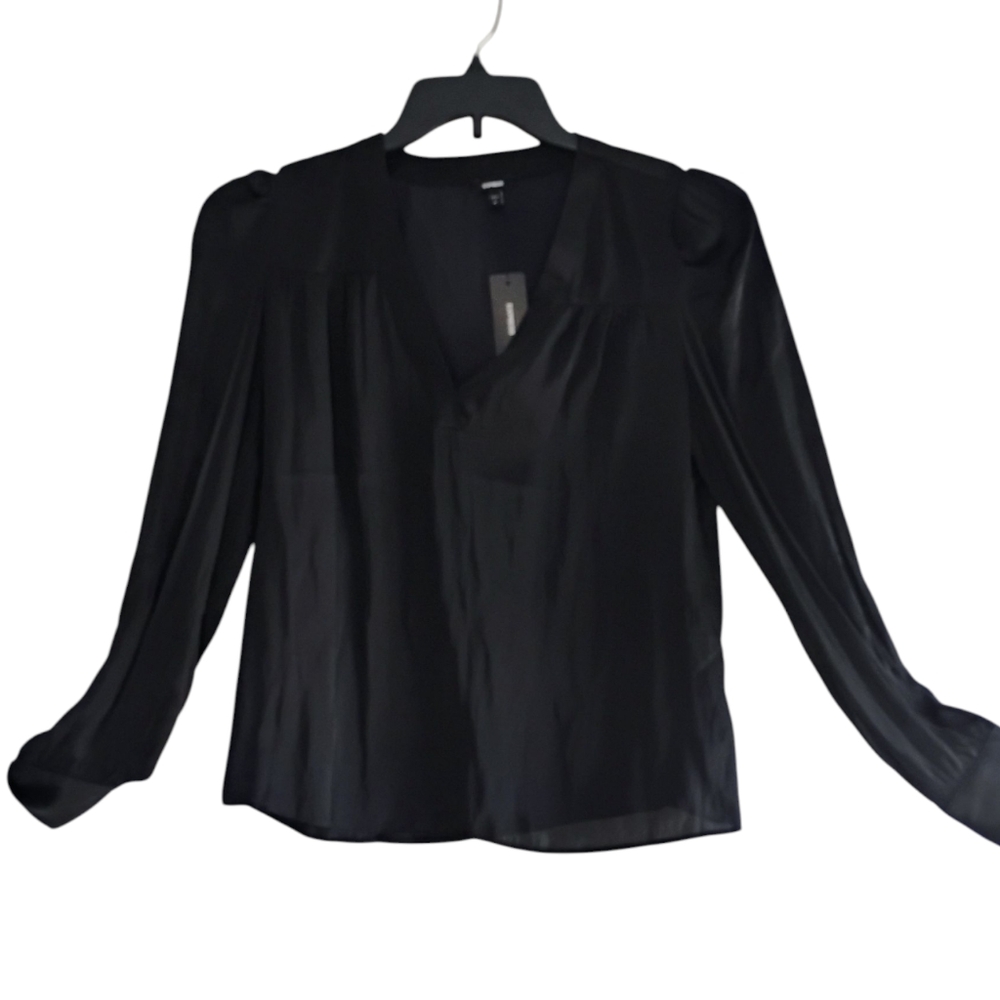 Elegant Black V-Neck Women's Express Blouse